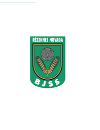 REZEKNES NOVADS Team Logo